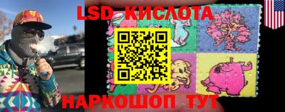 твердый Будённовск