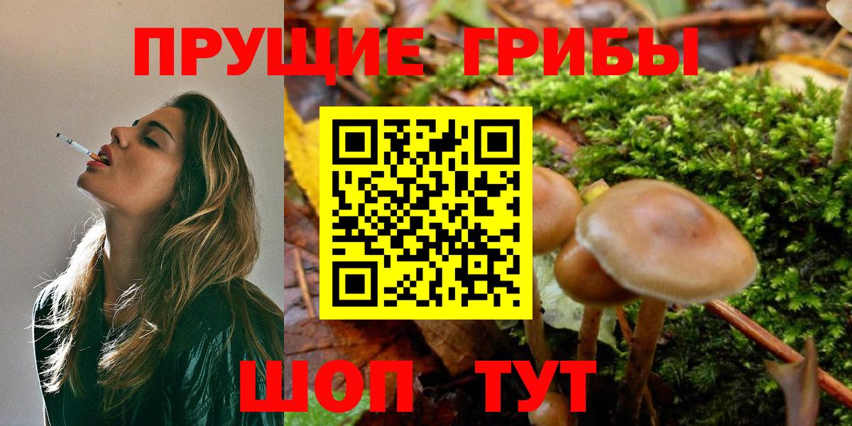Галлюциногенные грибы MAGIC MUSHROOMS  Вход с VPN  Кудрово 